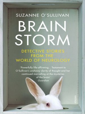 cover image of Brainstorm